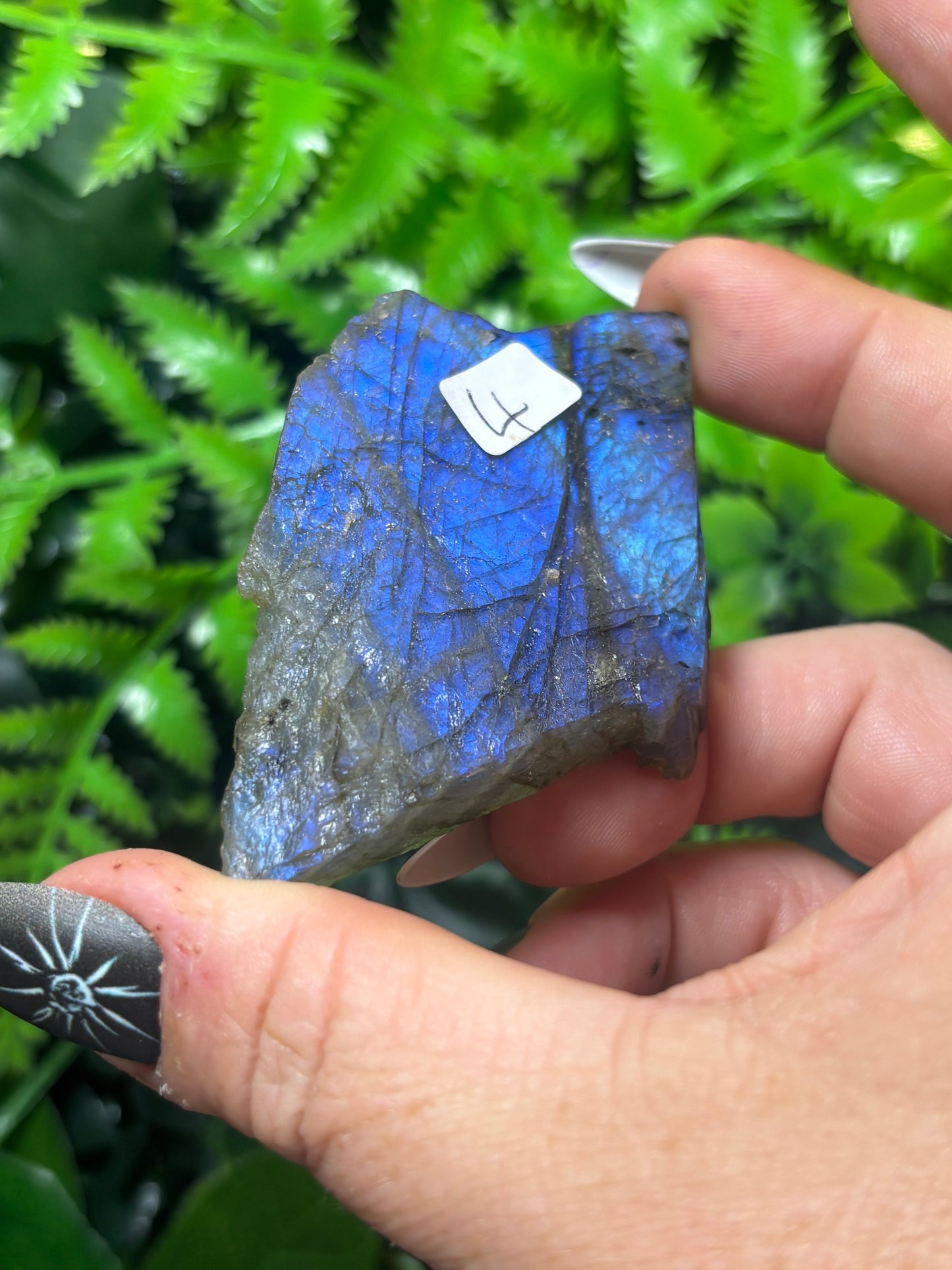 Labradorite Slice