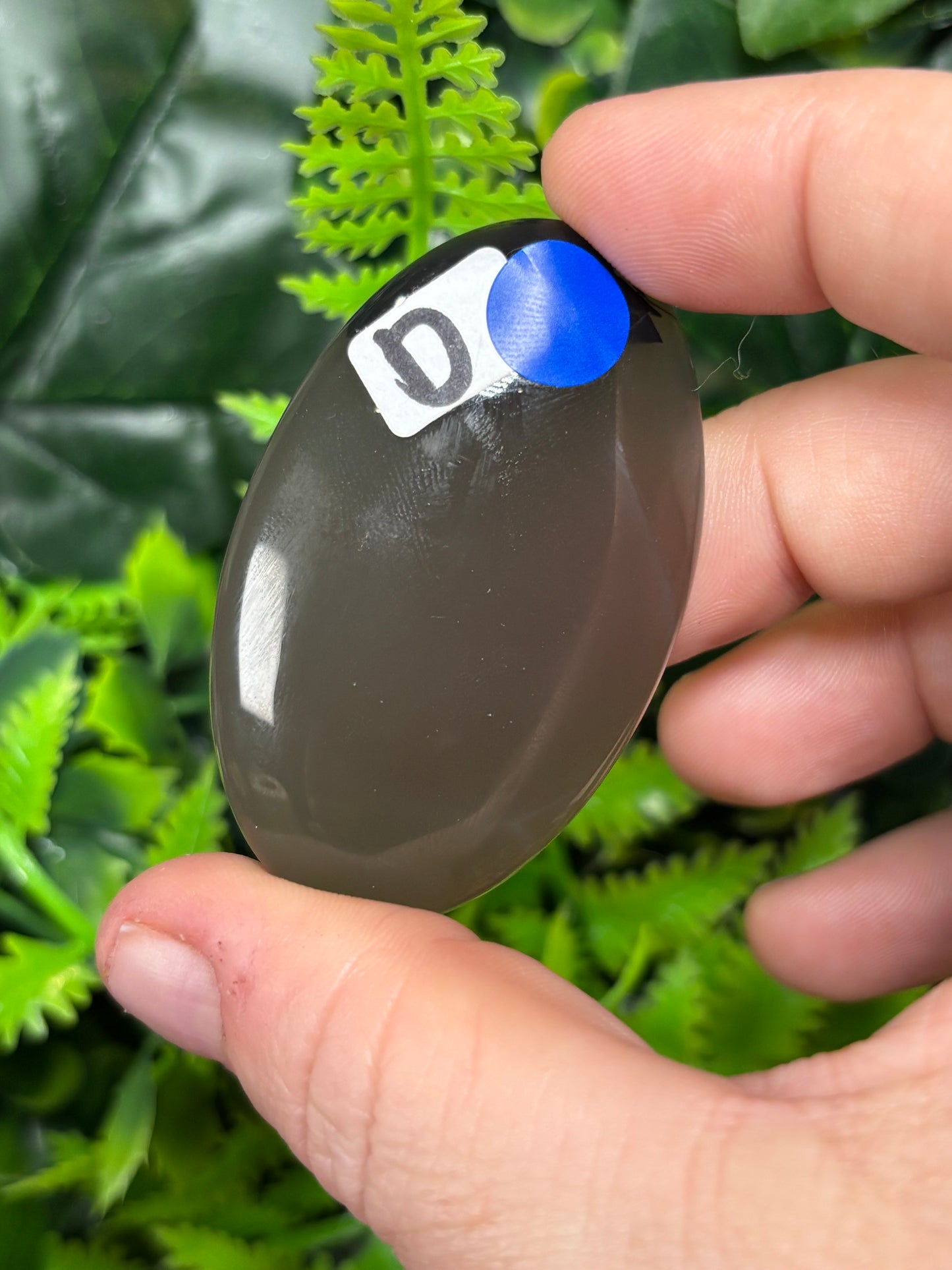Volcano Agate palm stones - UV reactive