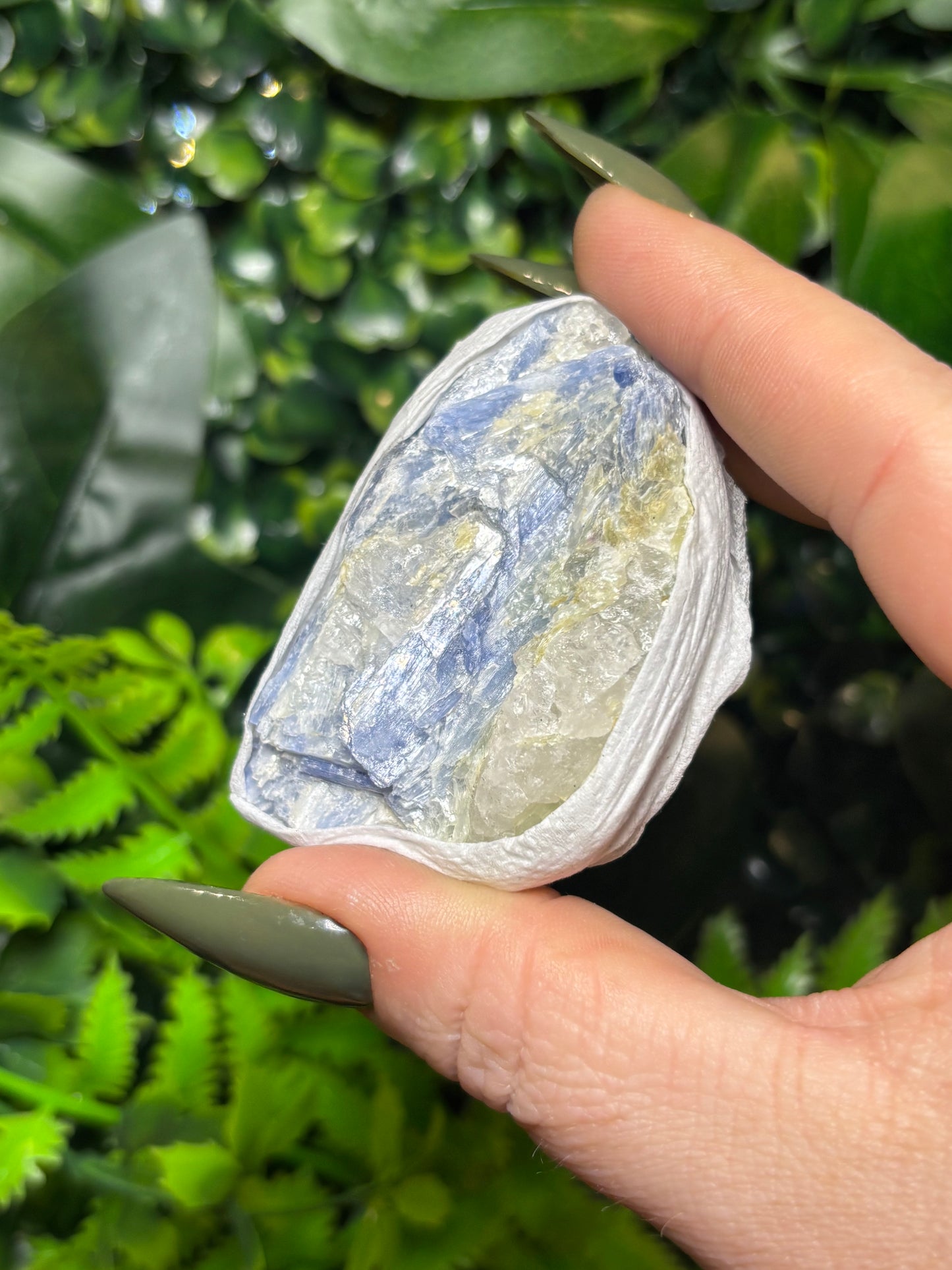 Raw Kyanite - Medium