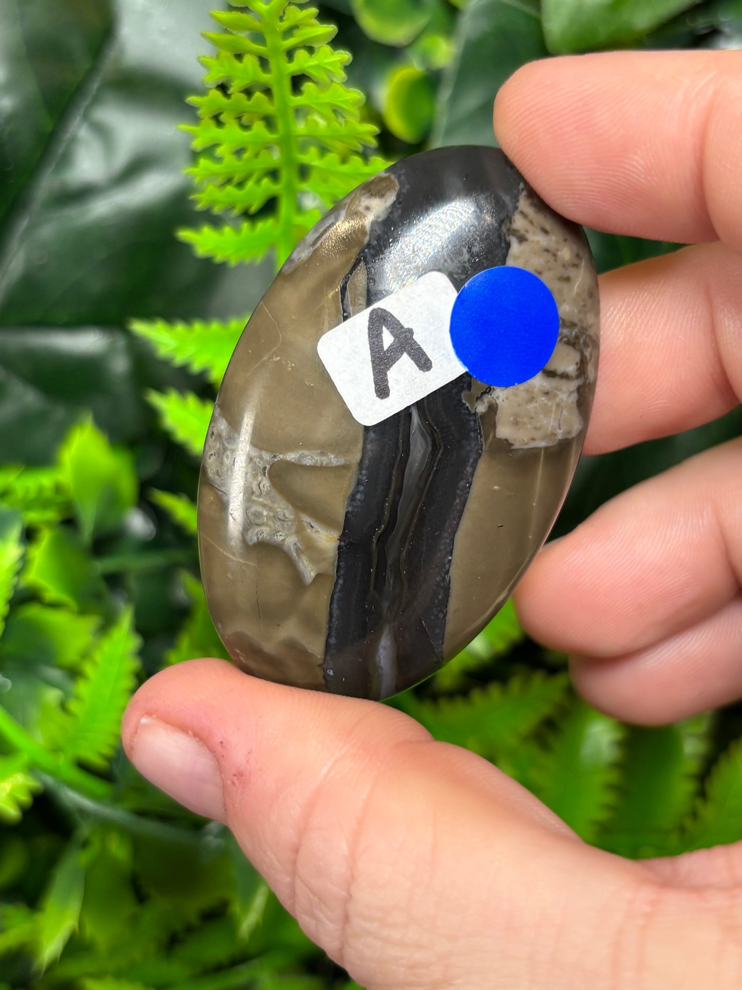 Volcano Agate palm stones - UV reactive
