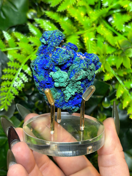 Azurite with Malachite specimen on stand