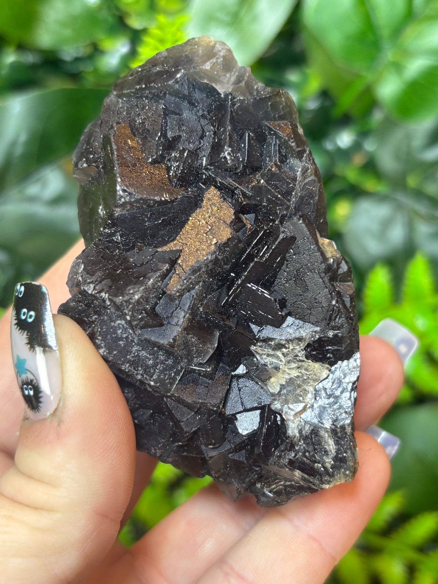 Black Rose Fluorite - Pakistan