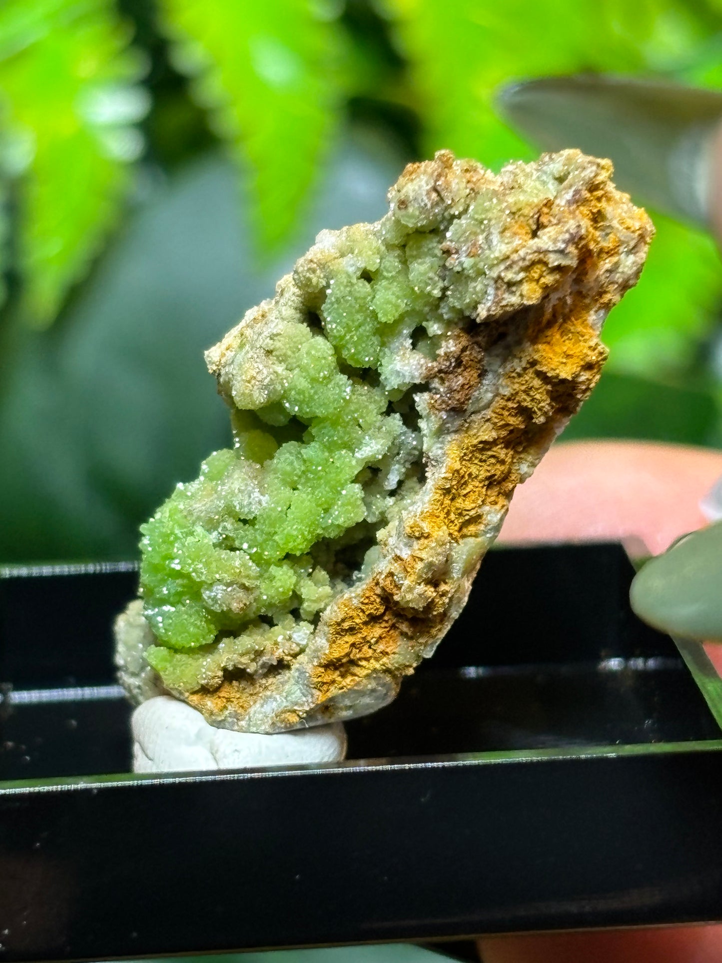 Pyromorphite in display box - Rare