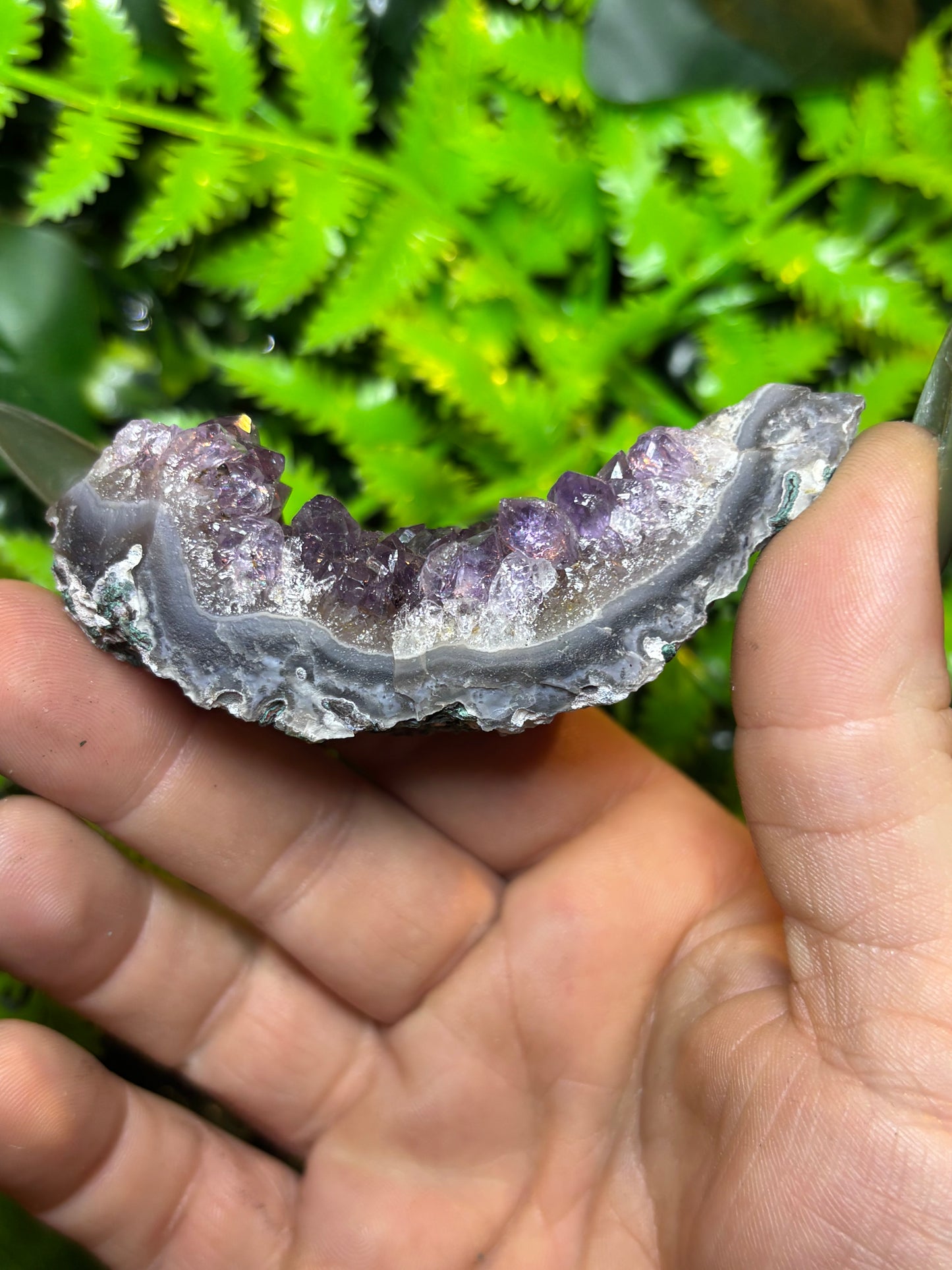Brazilian Amethyst cluster - C