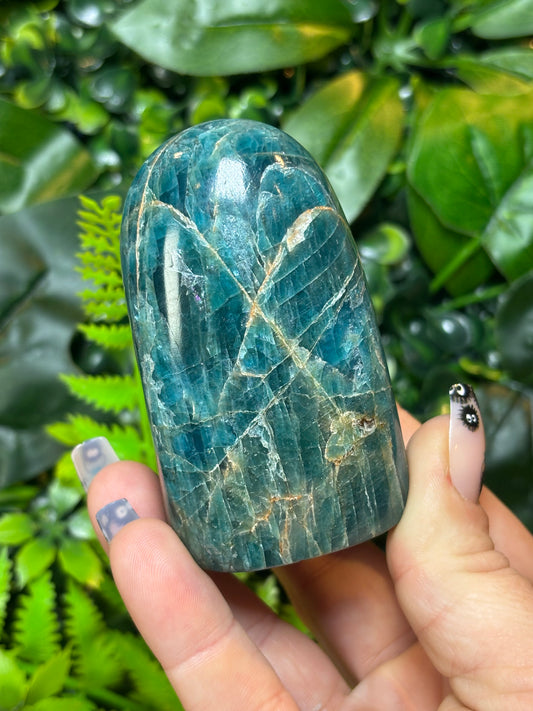Blue Apatite free form - A