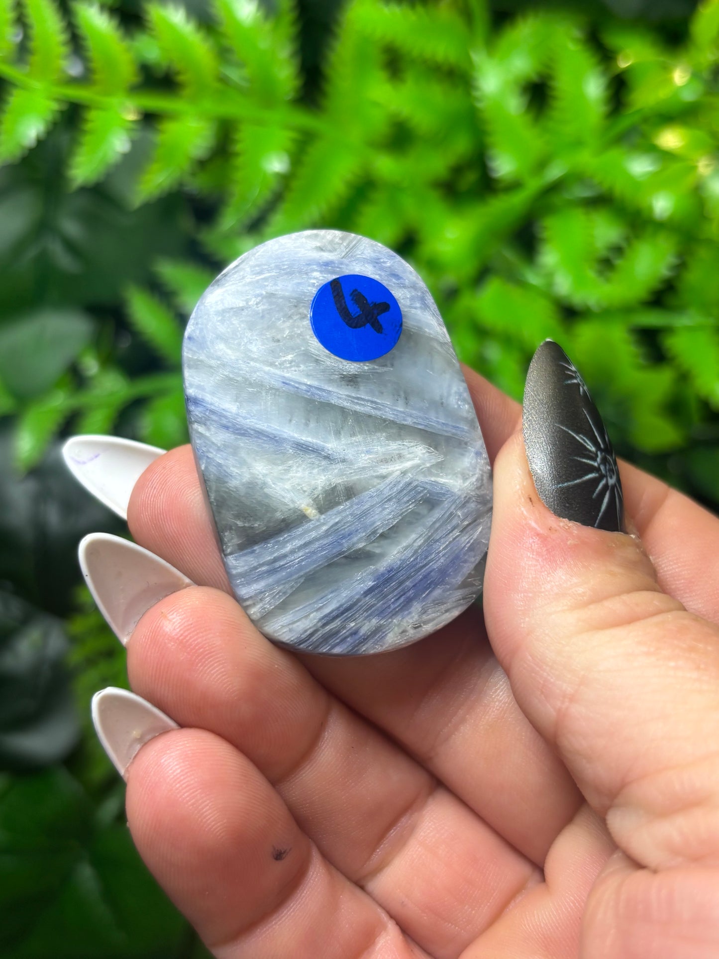 Kyanite Palm