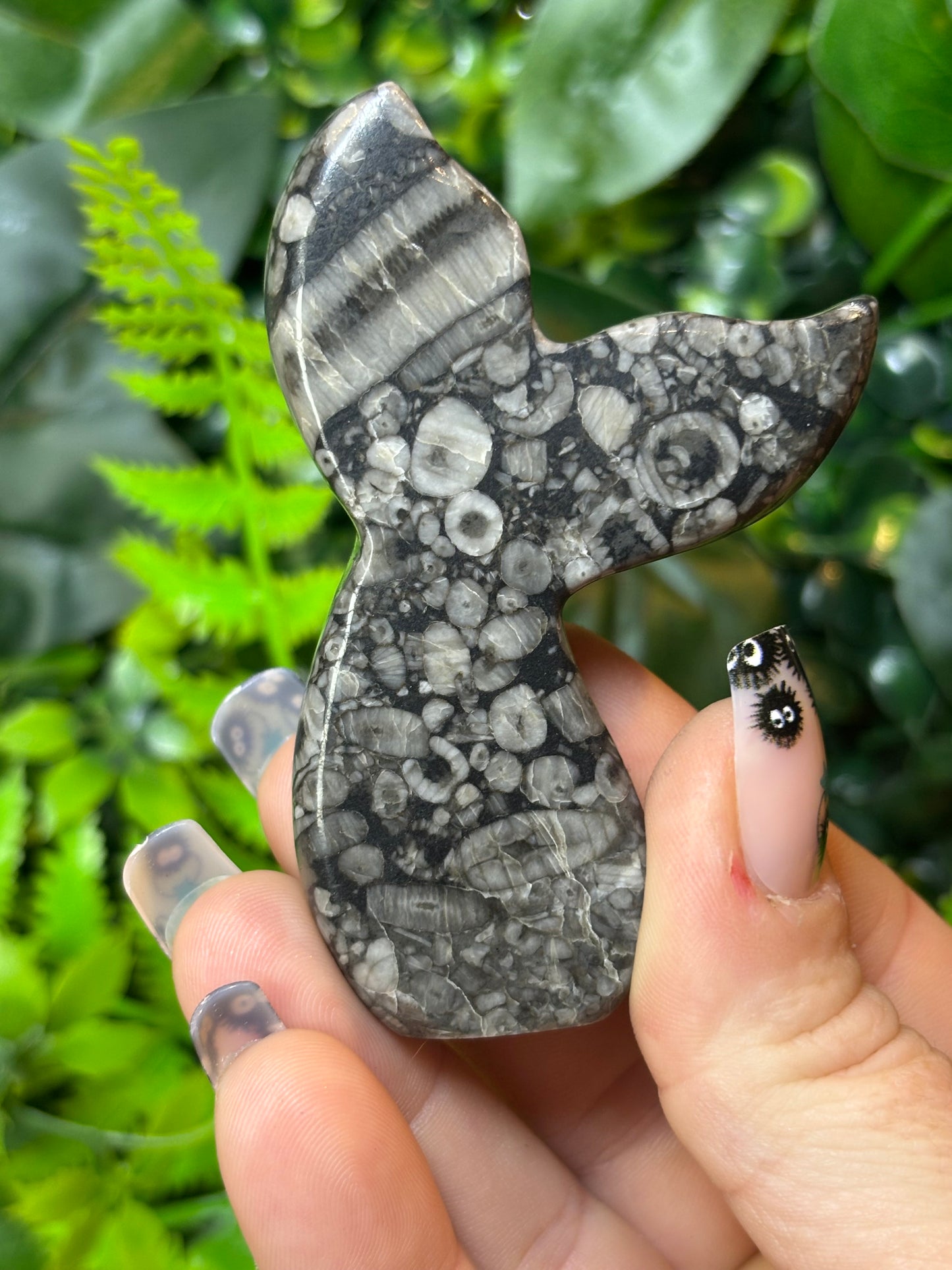 Fossilised Coral Siren Tail - E