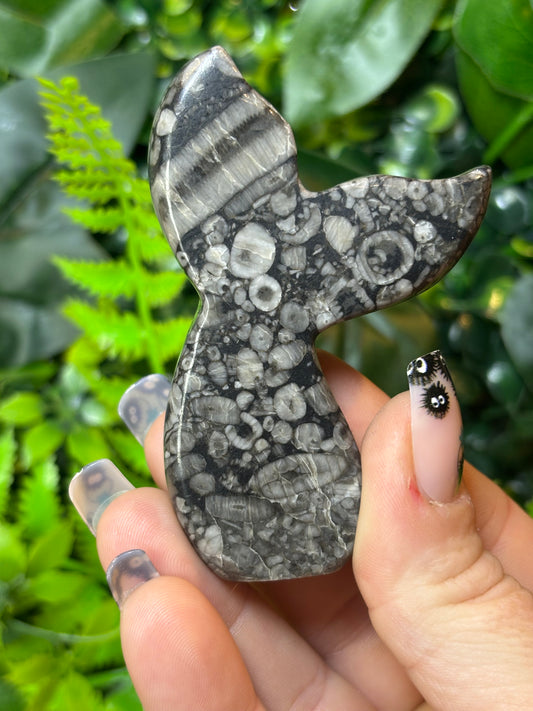 Fossilised Coral Siren Tail - E