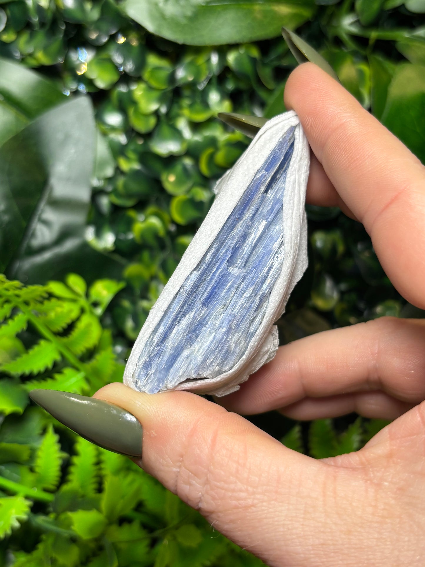 Raw Kyanite - Medium