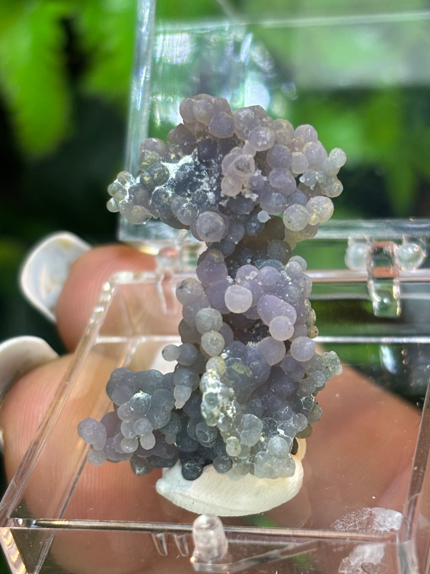 Grape Agate boxed specimen - Indonesia