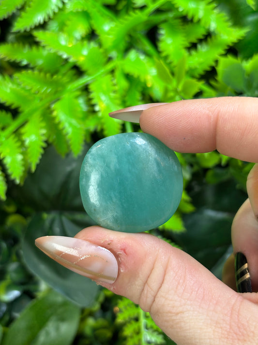 Mermaid coin - Amazonite