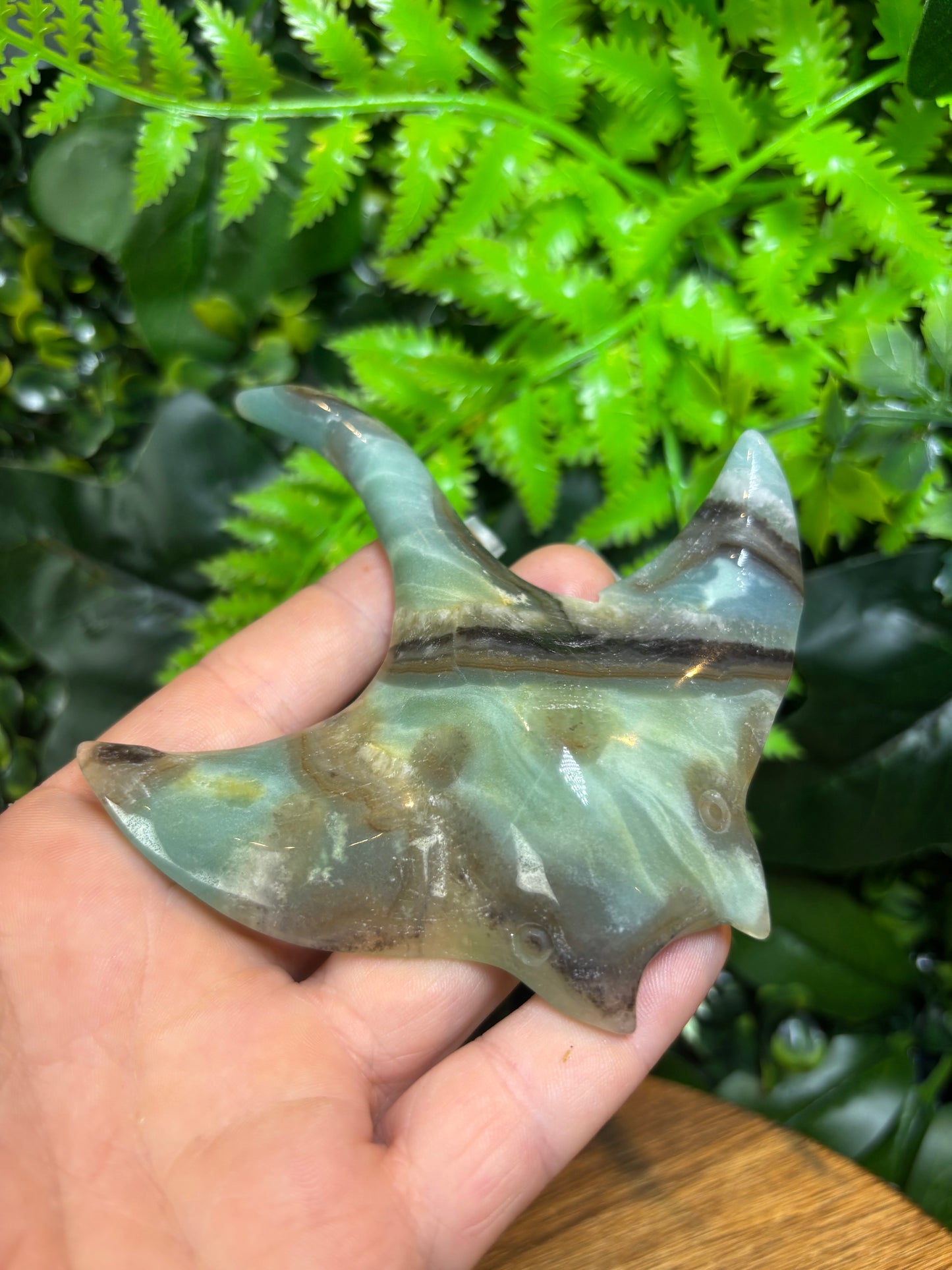 Caribbean Calcite Manta Ray carving - B