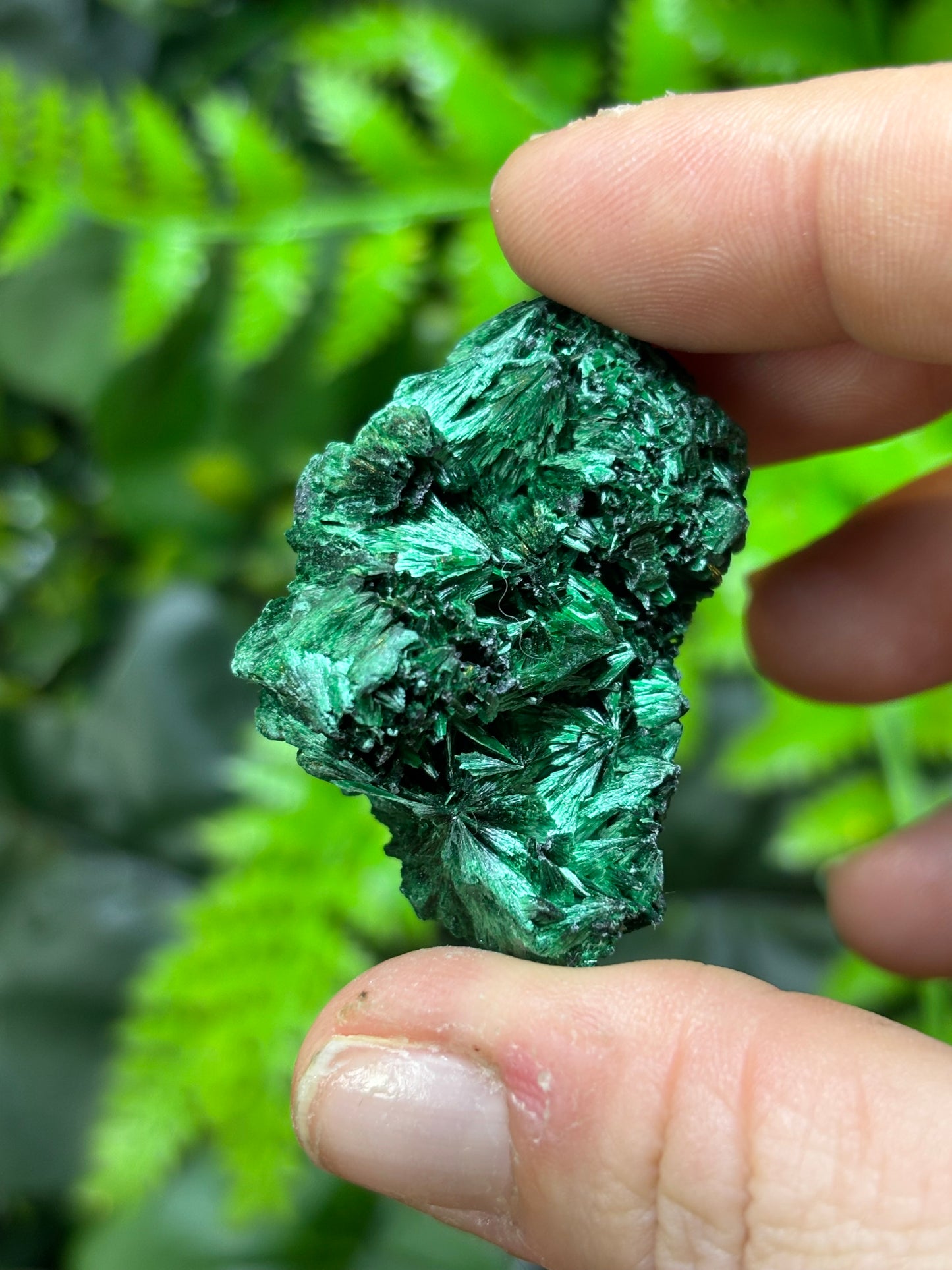 Fibrous Malachite