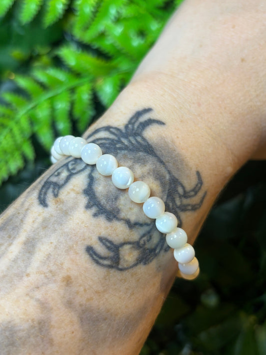 Conch shell beaded bracelet - 6mm