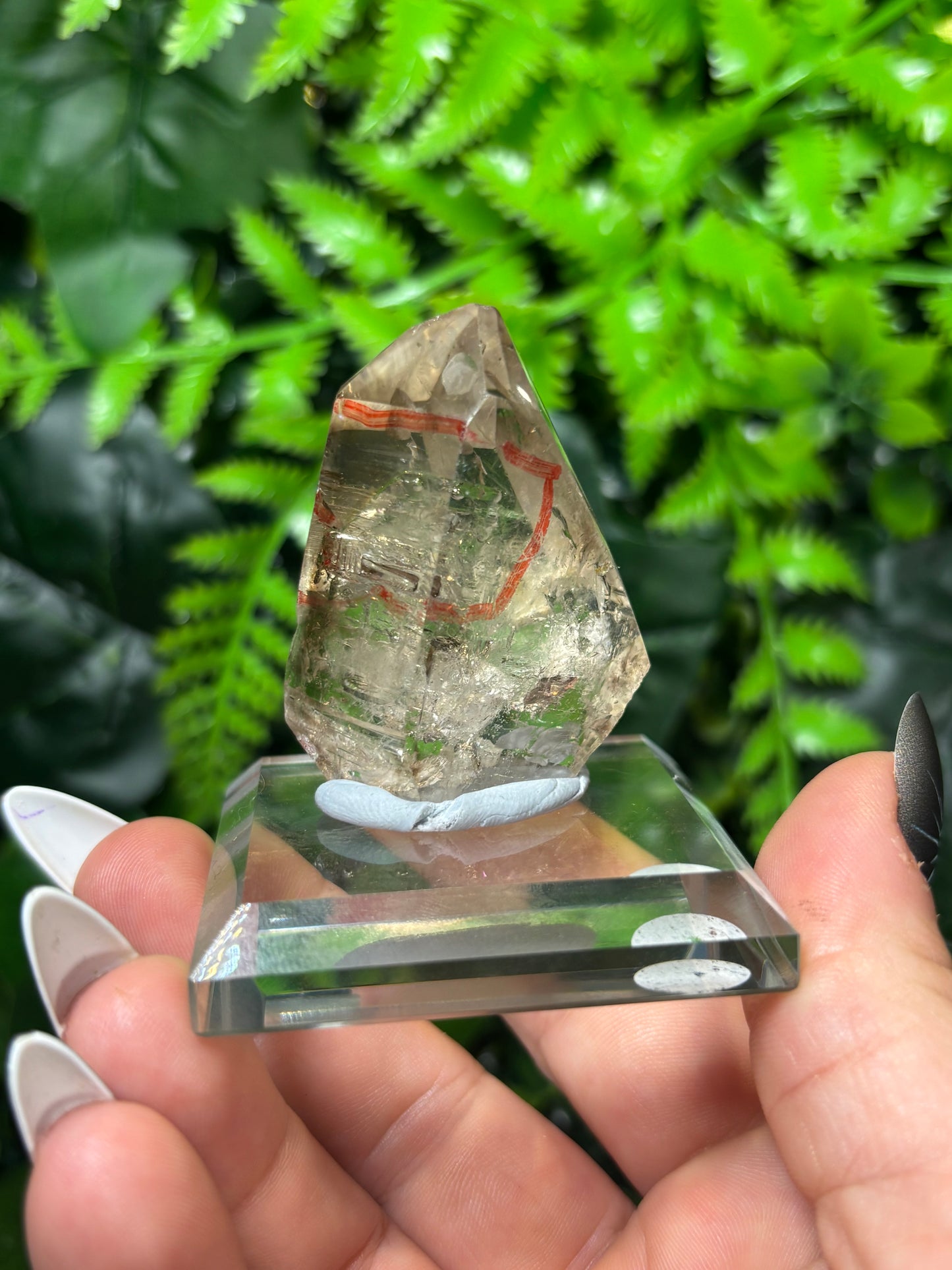 Smokey Enhydro Quartz