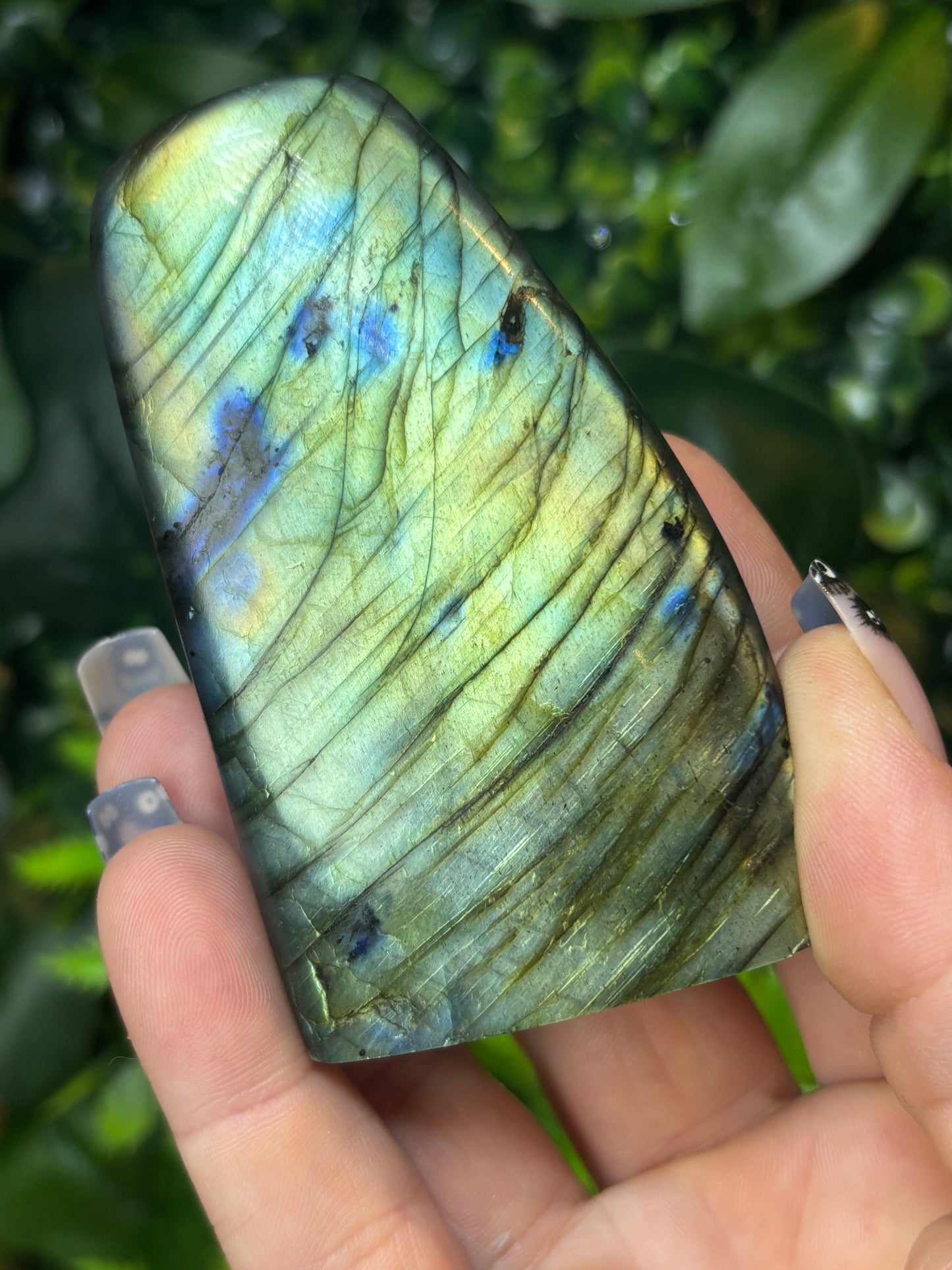 Labradorite free form - B