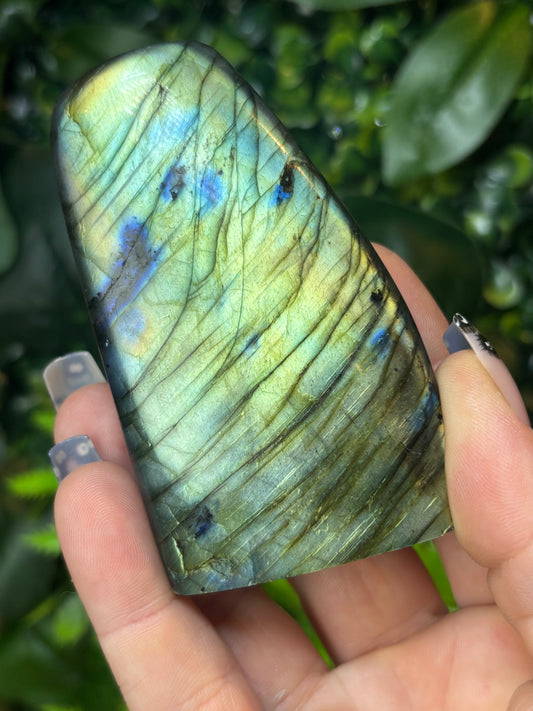 Labradorite free form - B