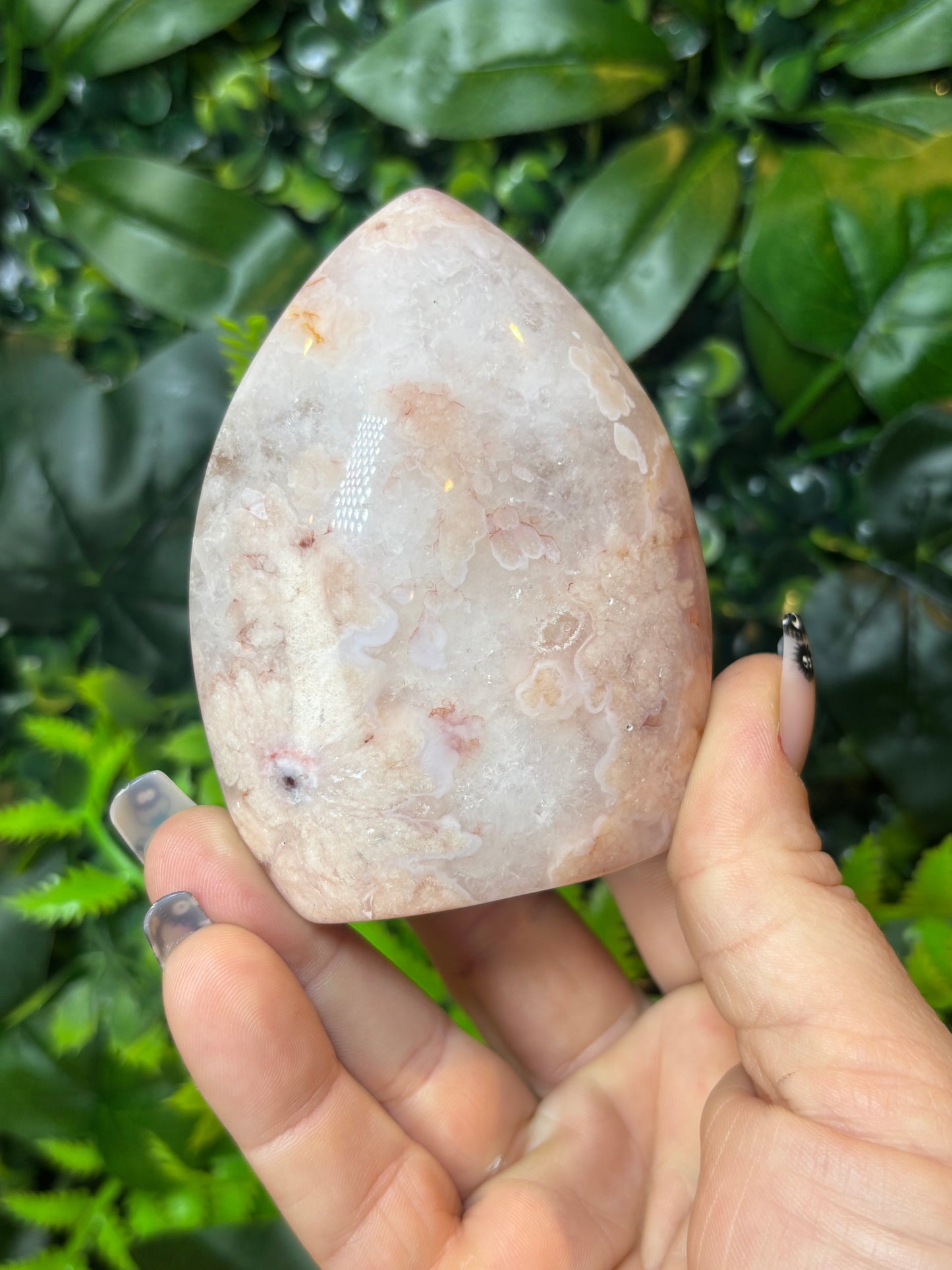 Carnelian X Flower Agate teardrop