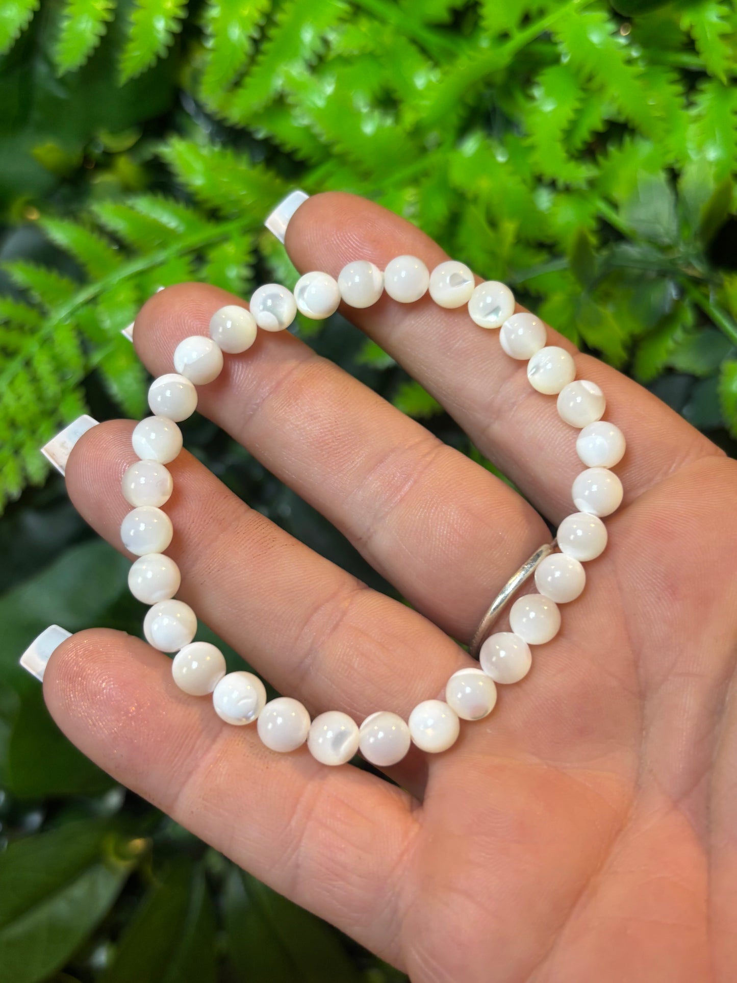 Conch shell beaded bracelet - 6mm