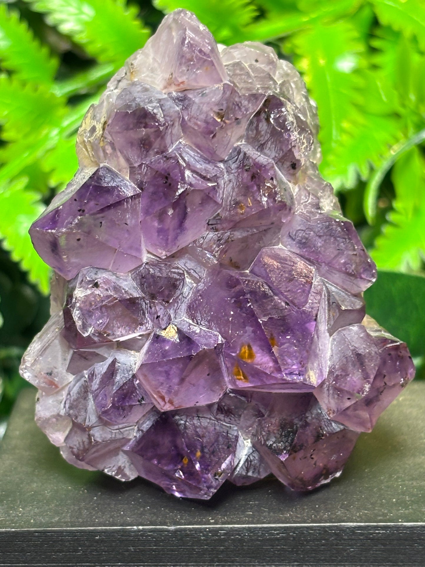 Amethyst cluster on wooden base - B