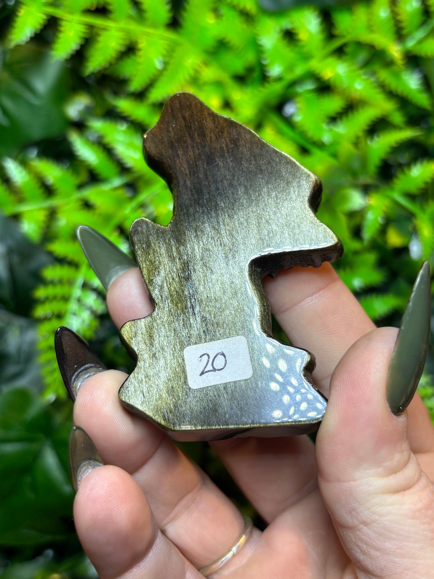 Golden Sheen Obsidian Wolves