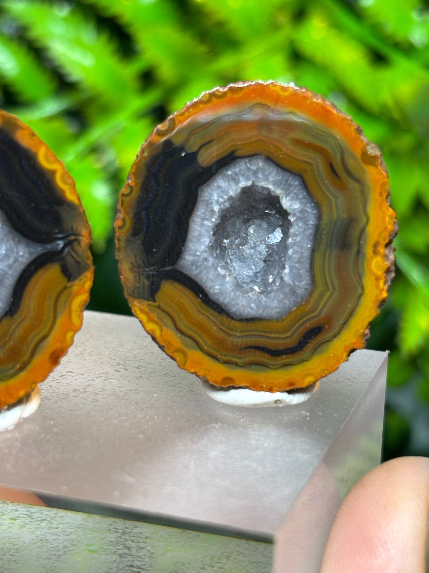 Zhanguo Agate pair - B