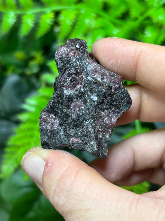 Raw Garnet in Astrophyllite
