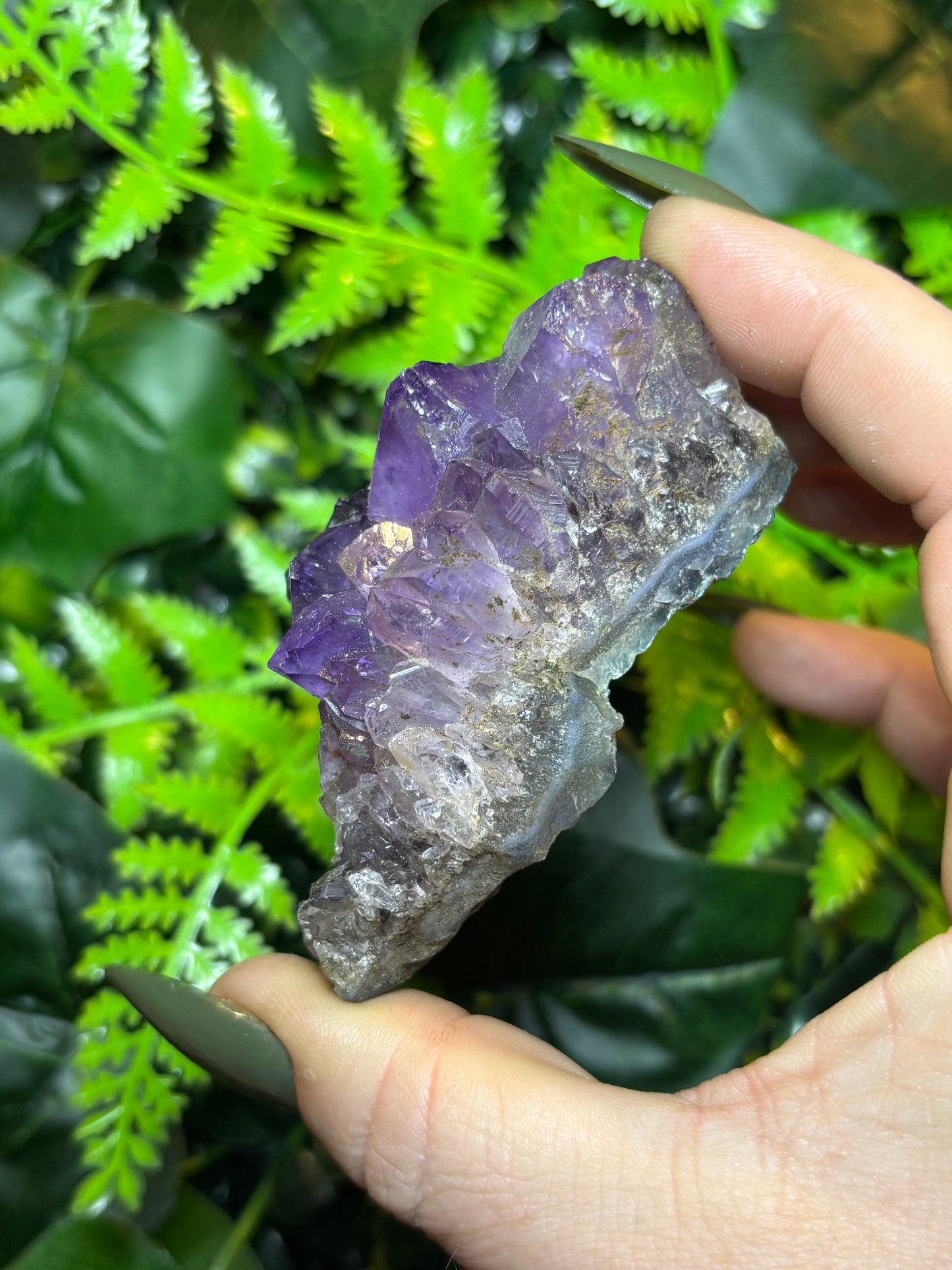 Brazilian Amethyst cluster - A