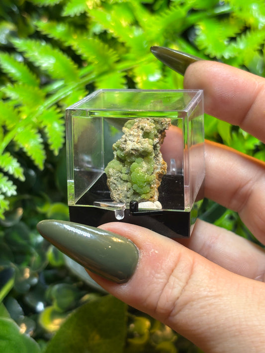 Pyromorphite in display box - Rare