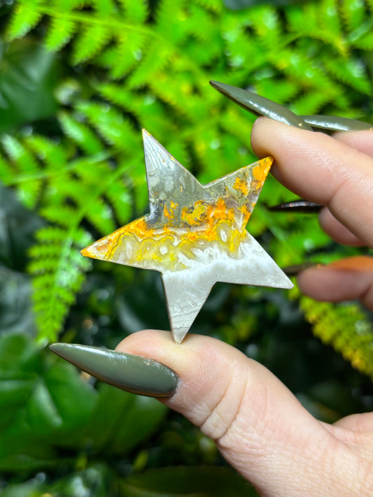Bumblebee Jasper star