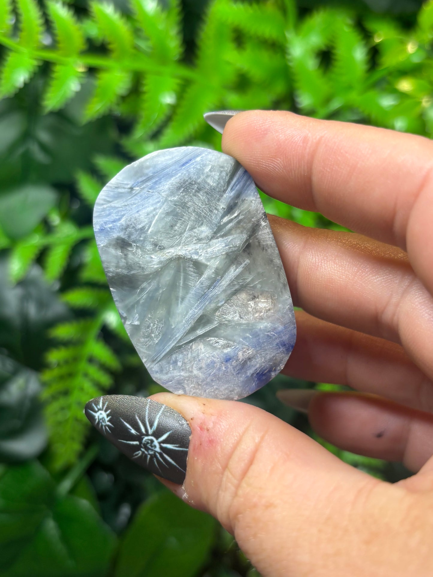 Kyanite Palm