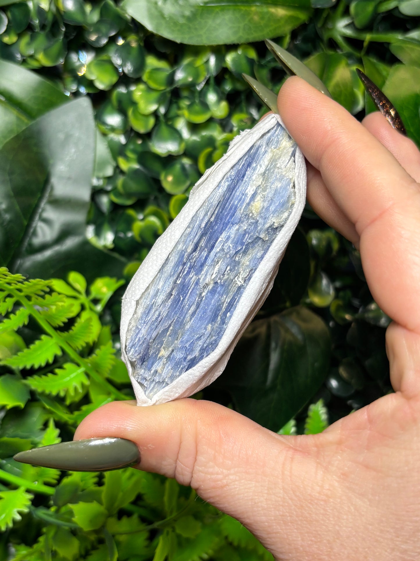 Raw Kyanite - Medium