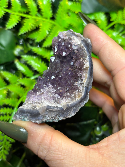 Brazilian Amethyst cluster - C