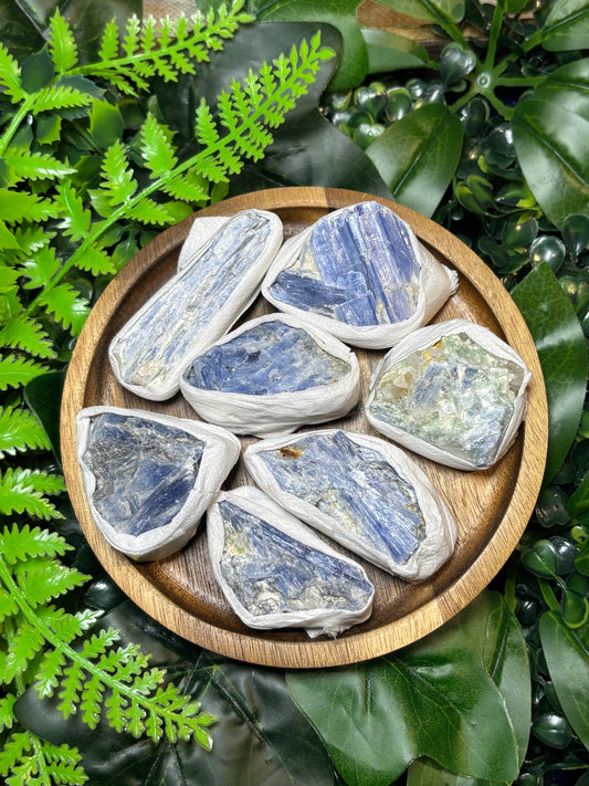 Raw Kyanite - Small