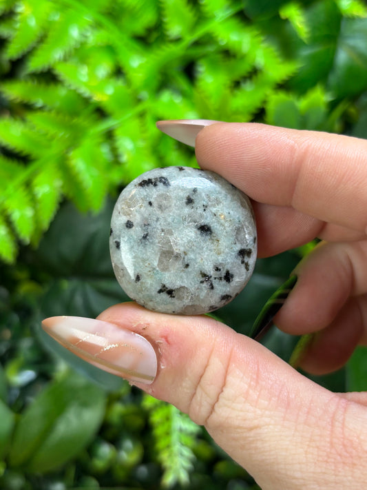 Mermaid coin - Kiwi Jasper