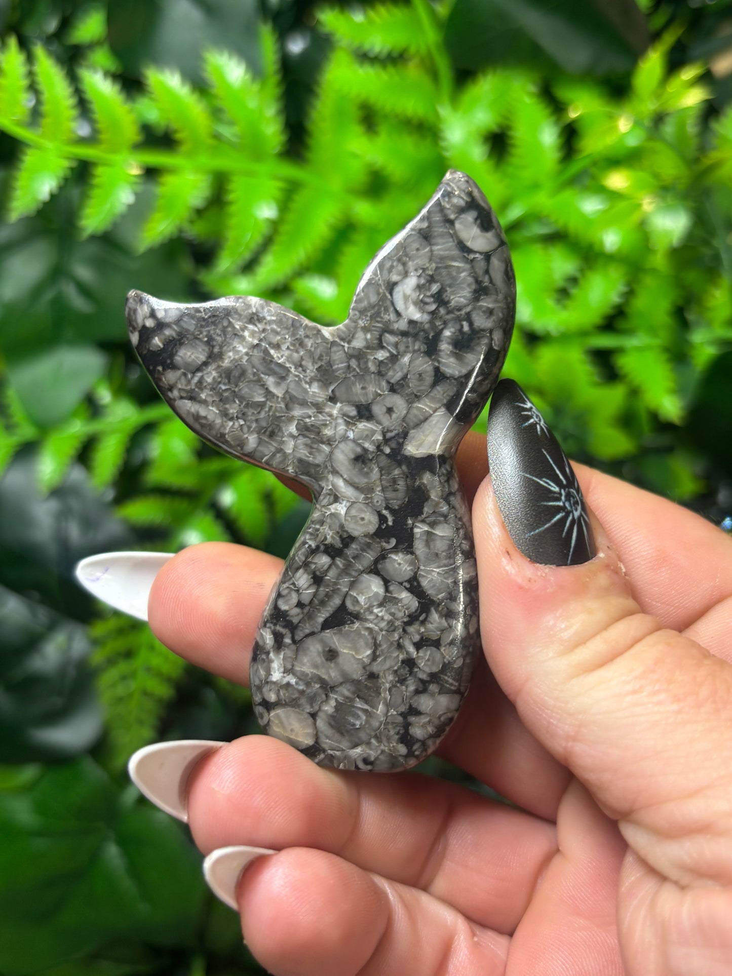 Fossilised Coral Siren Tail