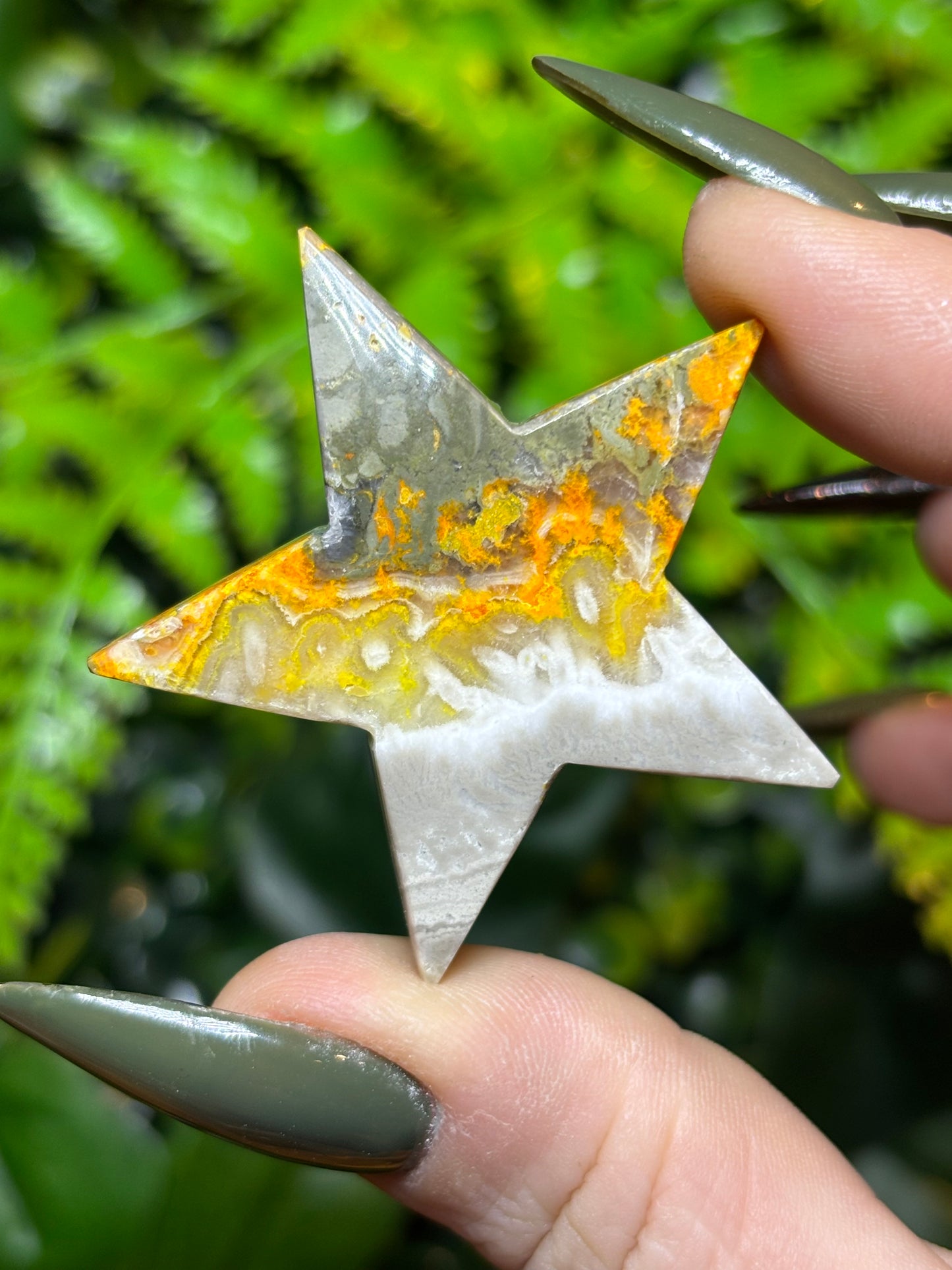 Bumblebee Jasper star
