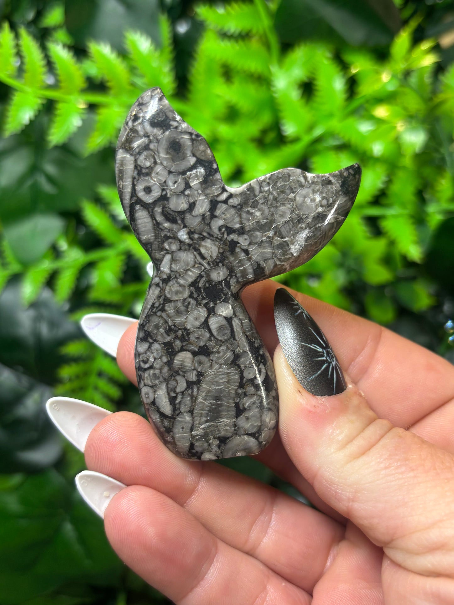 Fossilised Coral Siren Tail