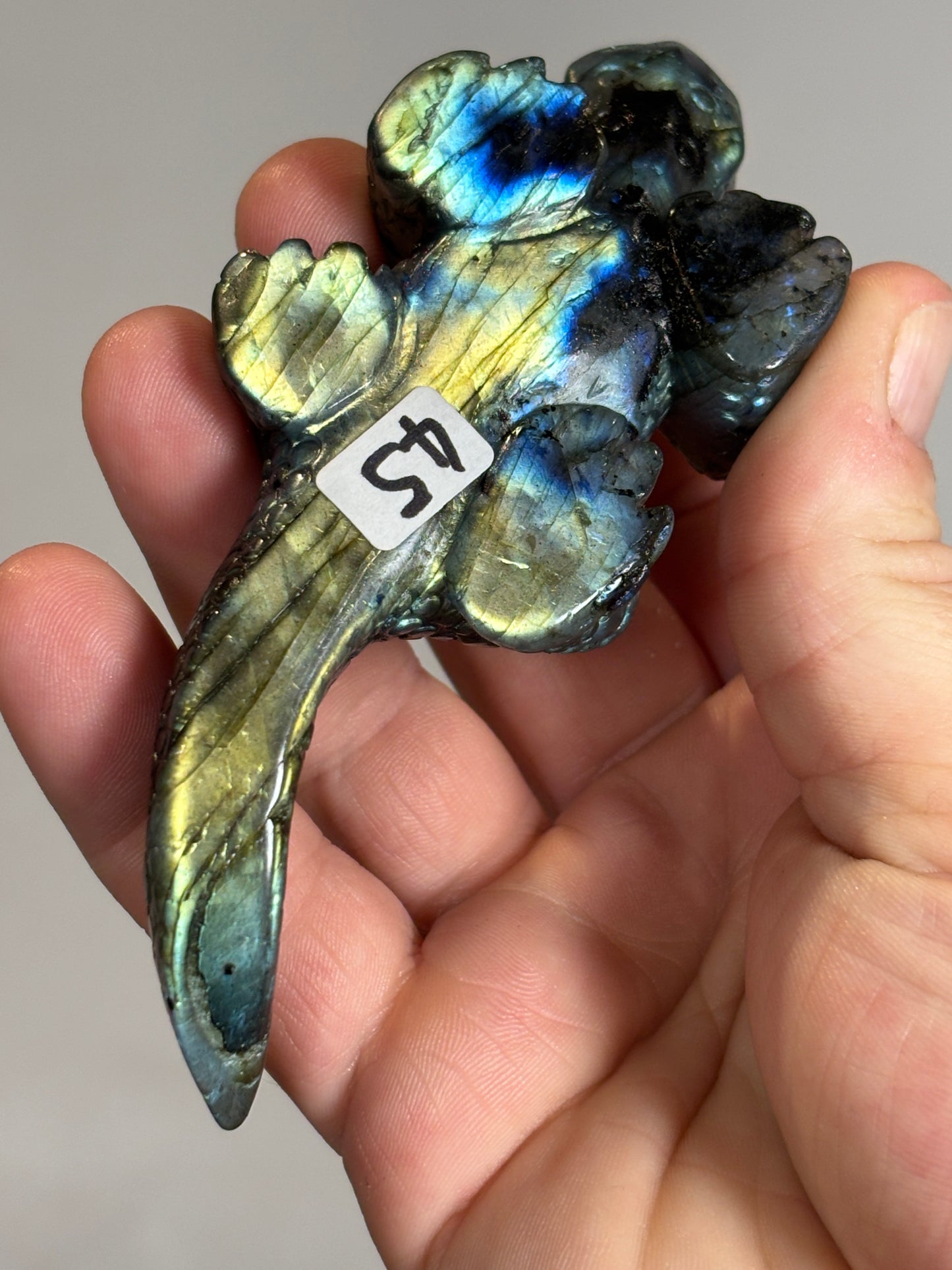 High quality Labradorite lizard