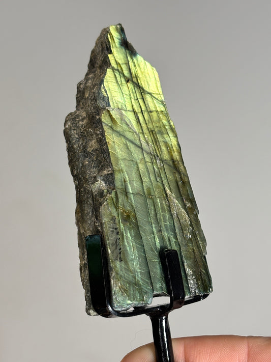 Half polished half raw Labradorite on metal stand