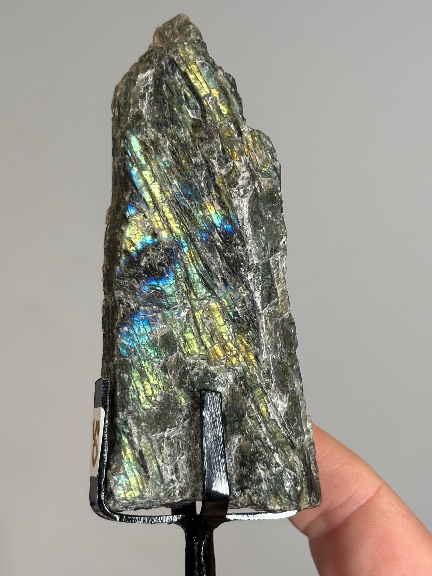 Half polished half raw Labradorite on metal stand
