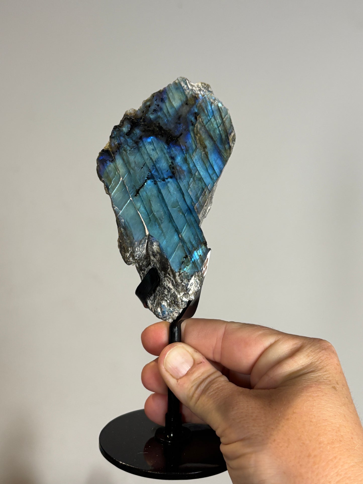 Half polished half raw Labradorite on metal stand