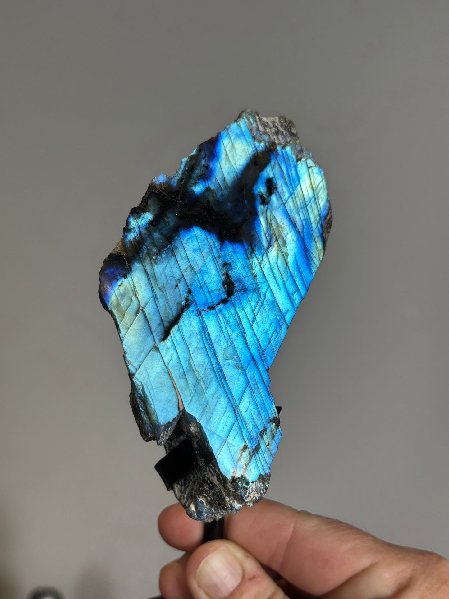 Half polished half raw Labradorite on metal stand