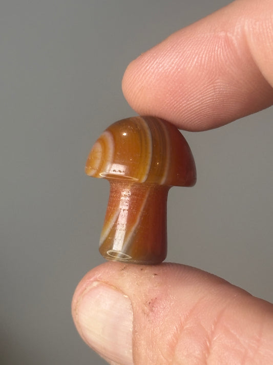 Mini shrooms - various materials