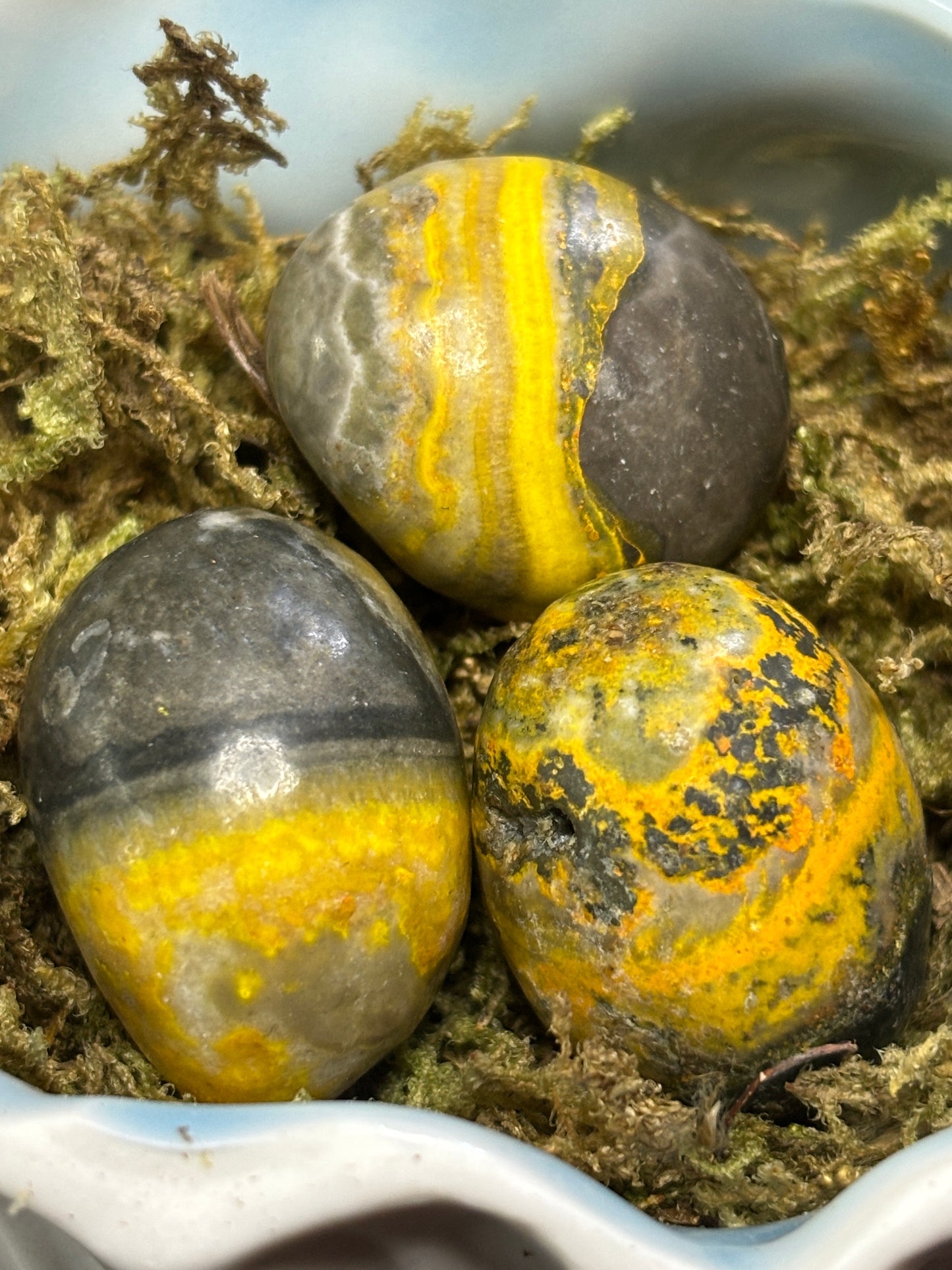 Bumblebee jasper tumble stone