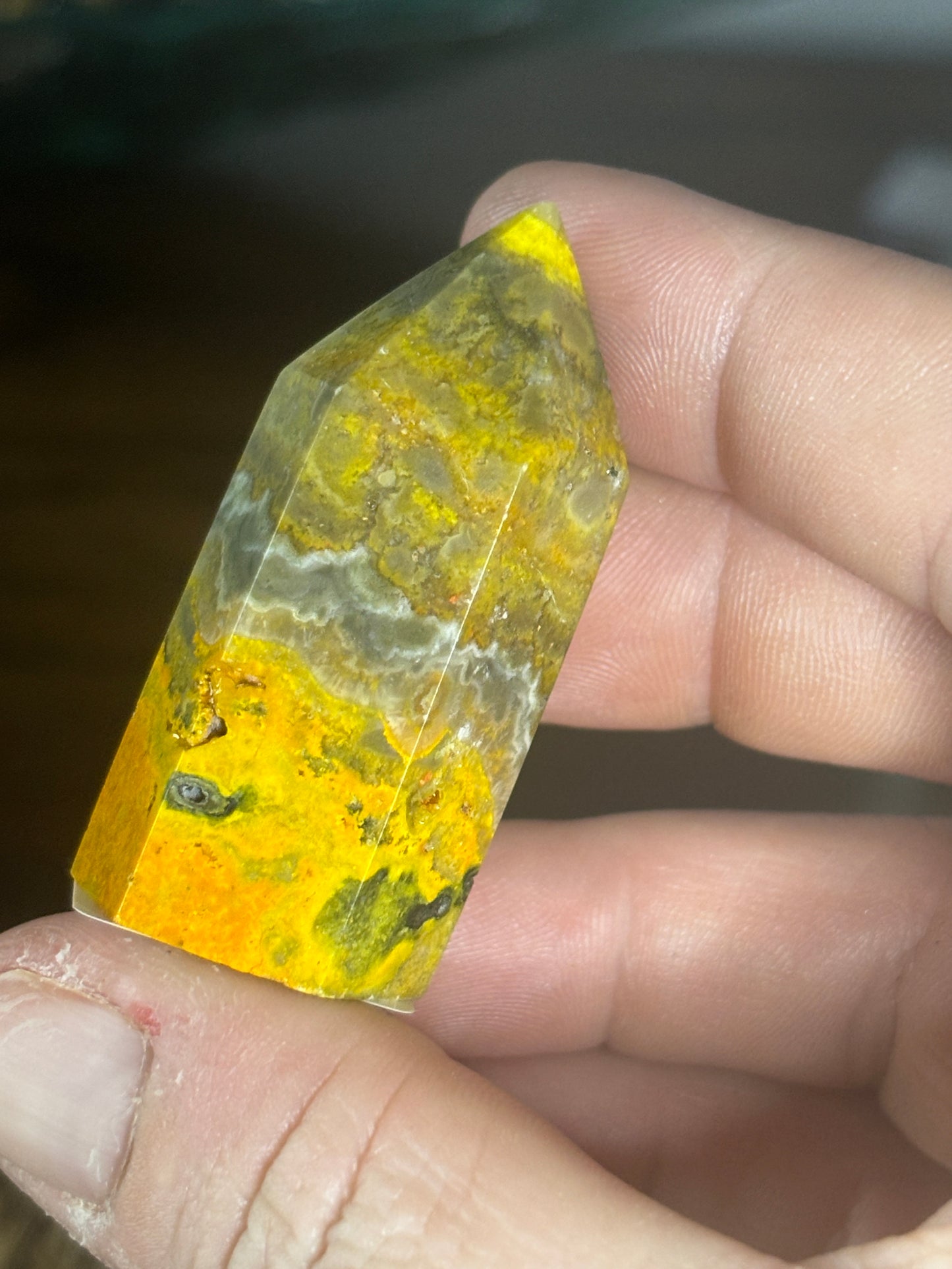 Bumblebee jasper 2