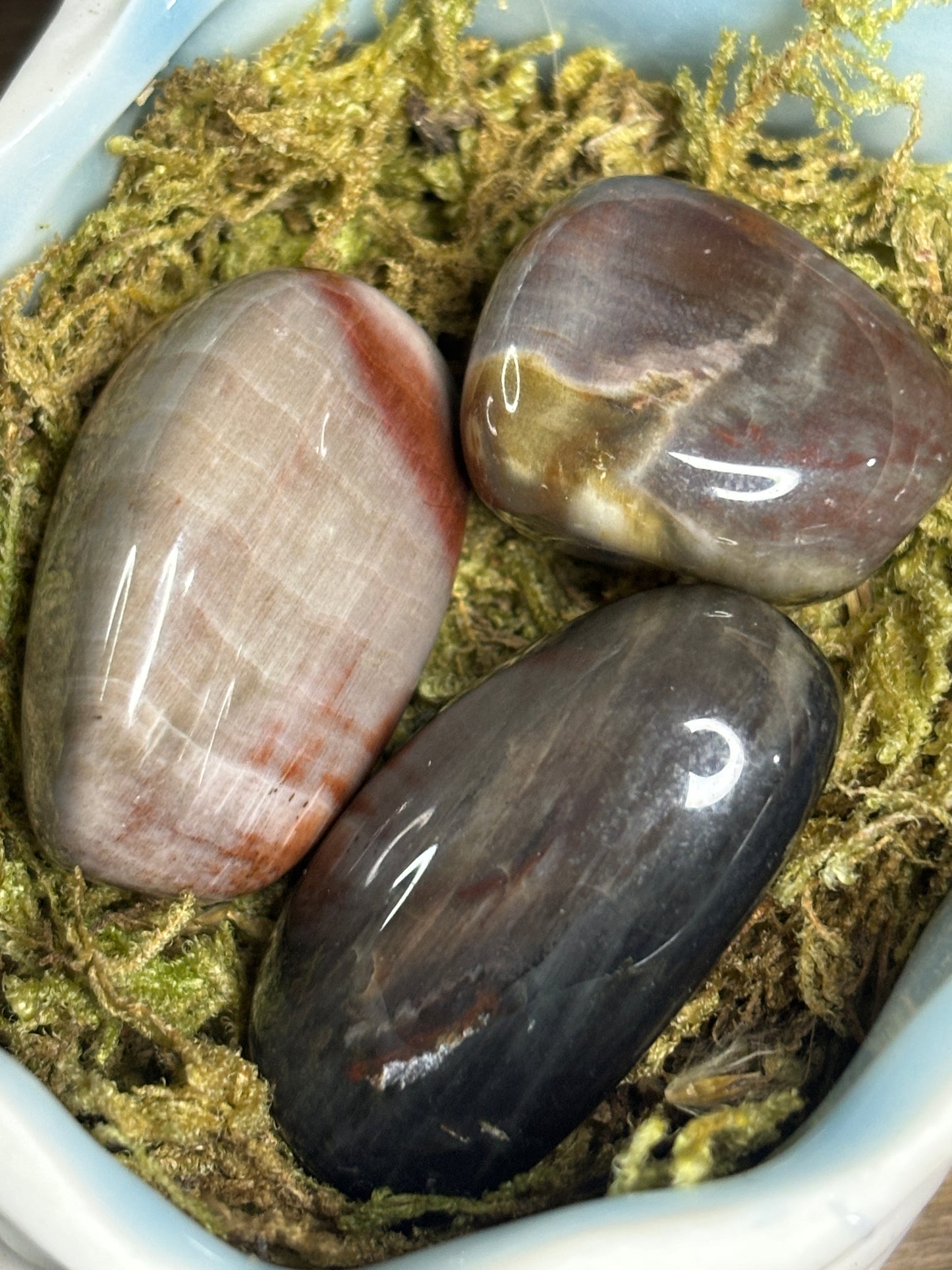 Petrified wood tumble stone