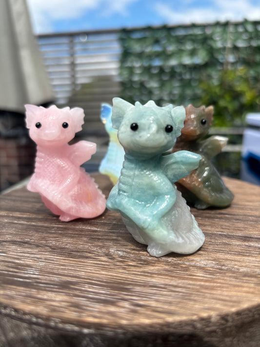 Baby dragons- medium