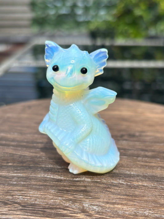 Baby dragons- medium
