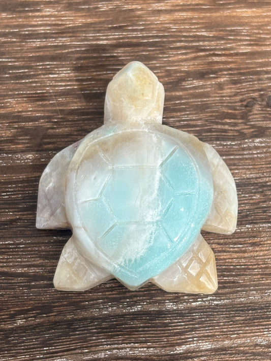 Sea turtles - various materials